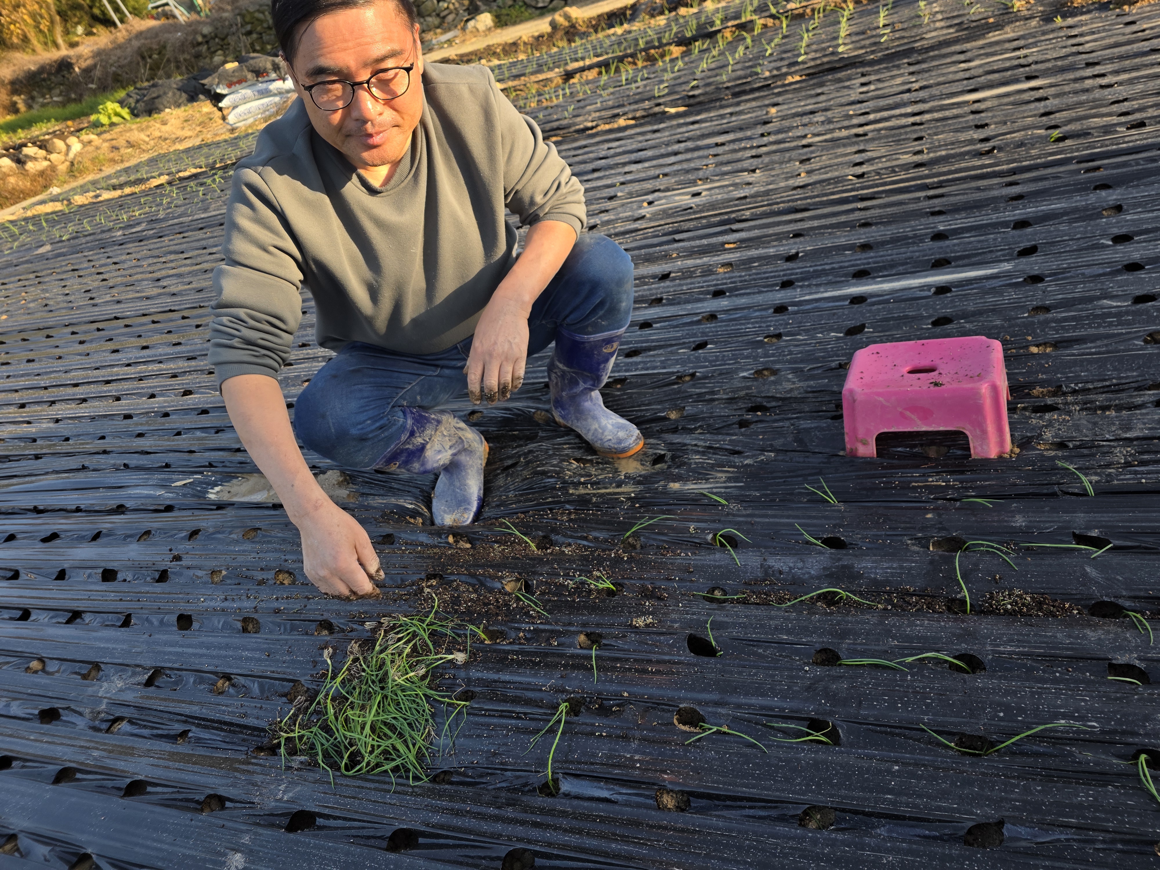 메타버스 팜 투어 - 단독 캐릭터