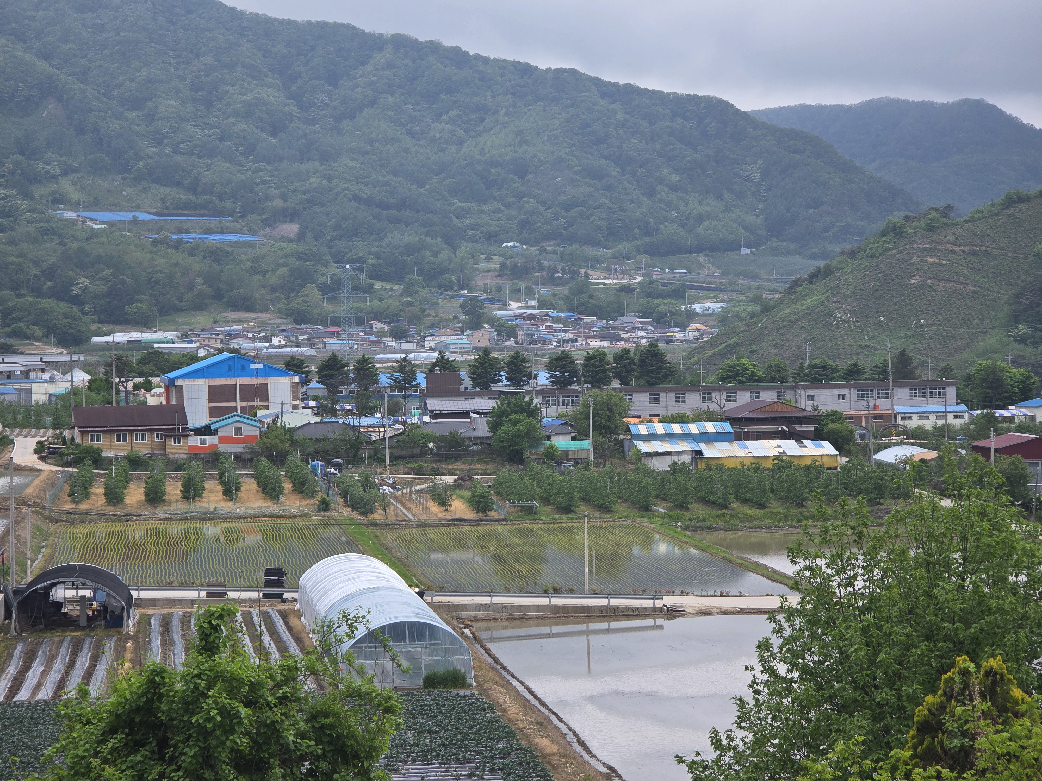메타버스 팜 투어 - 친구들과 함께